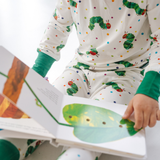 The Very Hungry Caterpillar Board Book (Englisch)