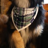 Bavoir pour chien Bandana écossais vert
