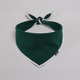 Bavoir pour chien Vert Heritage Pet Bandana
